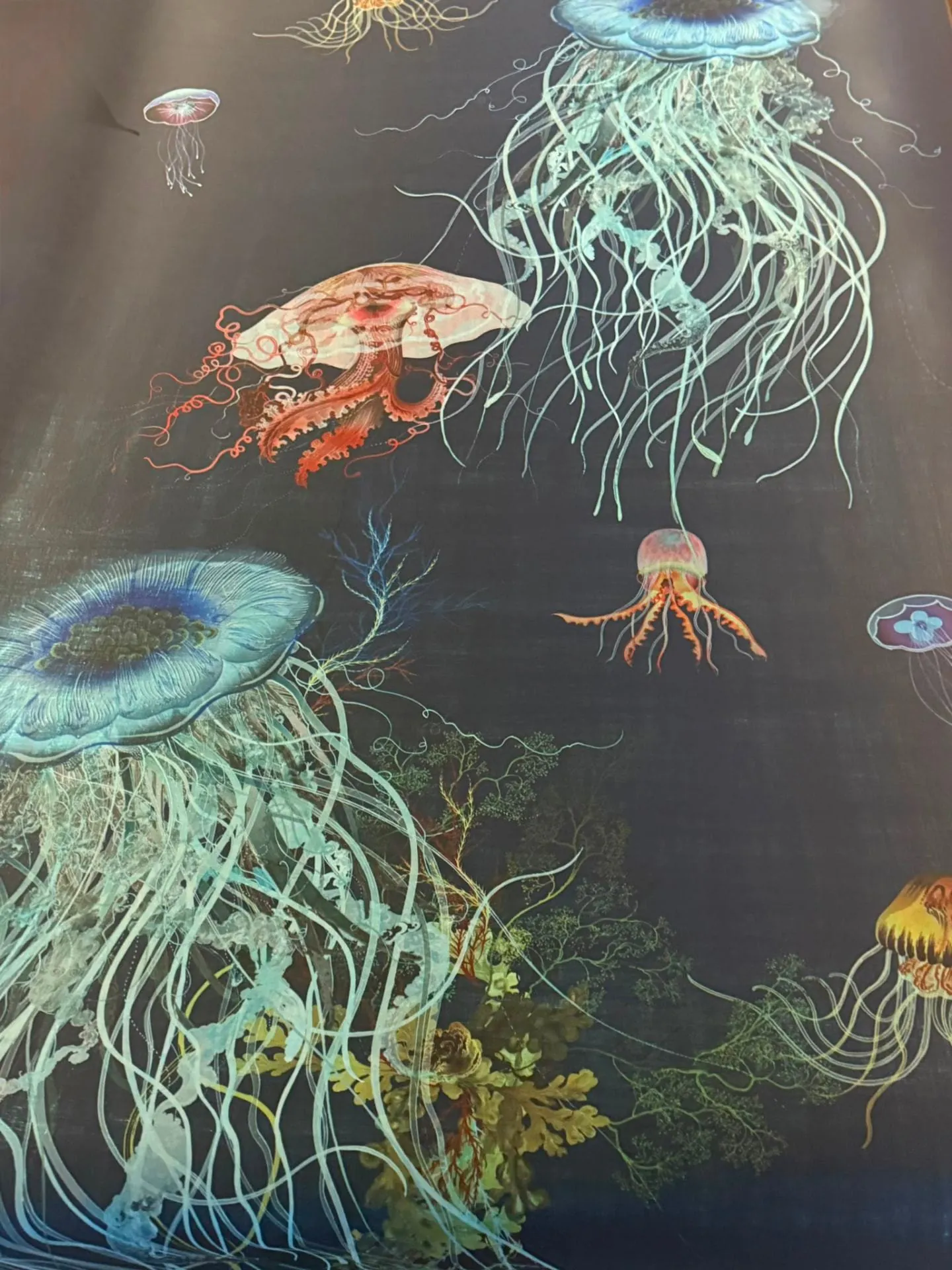 Dark jellyfish mural wallpaper panel hung as a feature wall