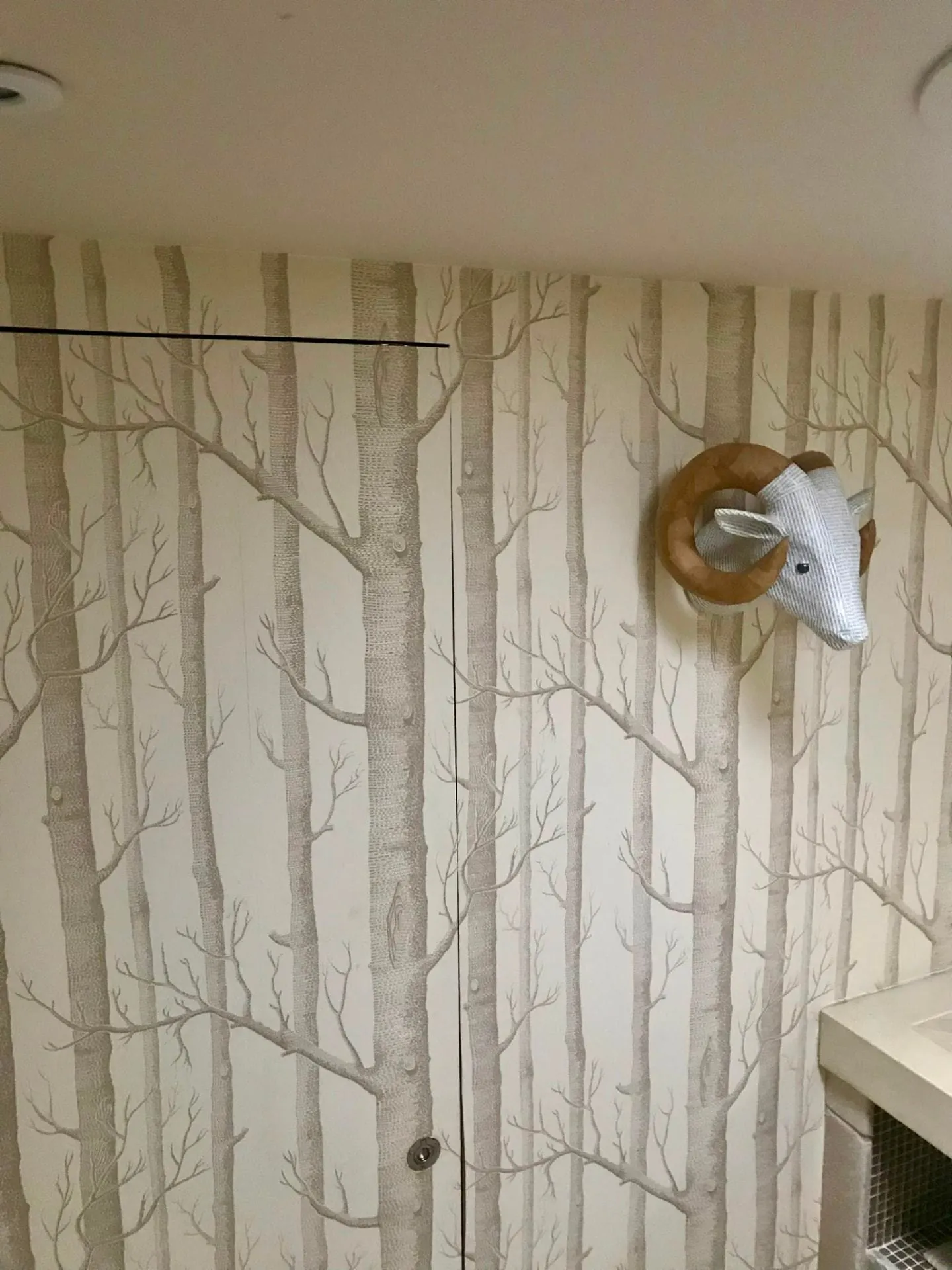 Pale birch tree wallpaper hung over cupboard doors in a cloakroom